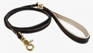 Signature Dog Leash - Dog