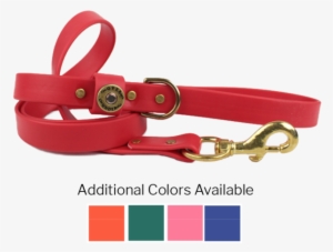 Water Dog Leash - Dog