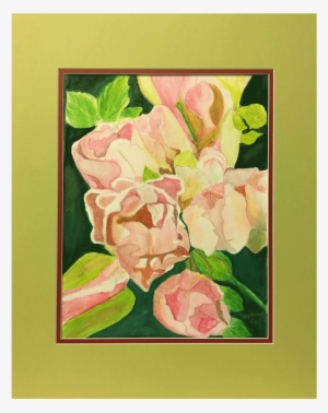 Frilly Pink Tulips - Hybrid Tea Rose