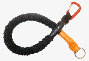Stress-free Training - Leash