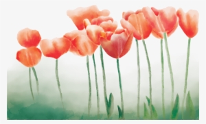 Faith Creative Studio - Studio