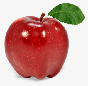Apple Fruit Png - Apple Fruit Transparent