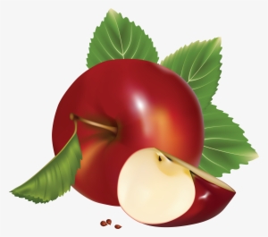 Apple Png - Apple Fruit Vector