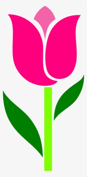 Pink Tulip Leaves Askew Clip Art At Clker - Tulip Flower Clipart