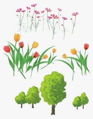 Flower Download Clip Art Colored Tulips Transprent - Background