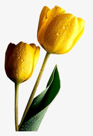 This Png Image - Divine Inspirations And Prayers