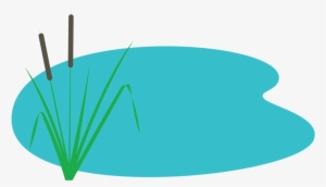 Too Much Water - Pond Png