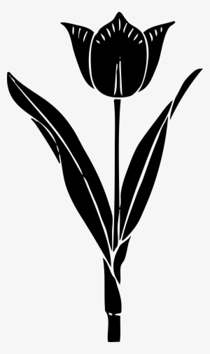 Black And White Panda Free Images - Tulip Silhouette