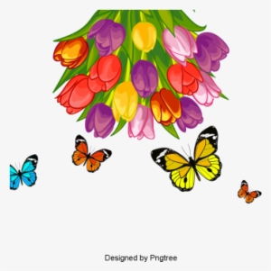 Hand Painted Butterfly Png - Animation