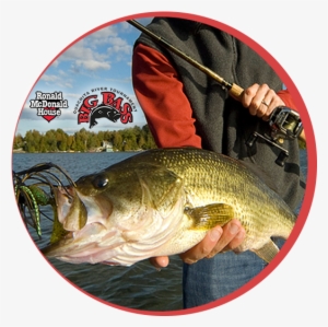 The Ronald Mcdonald Big Bass Tournament Is One Of The - Type Of Fishing Fly