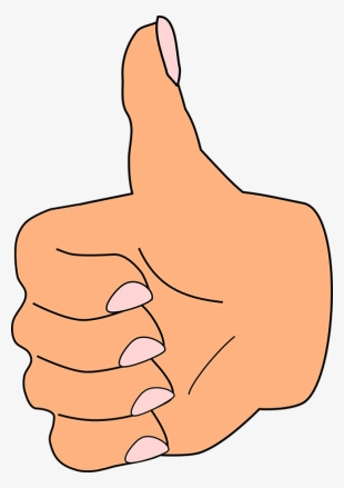 Thumb Up, Thumb, Like, Correct, Hand, Fingers, Positive - Thumb Clipart