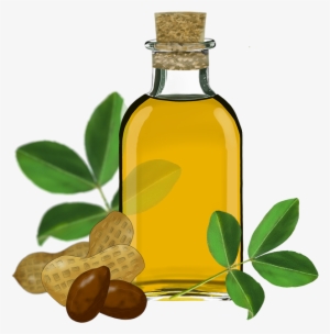 Florida Trade International, Cooking Oil - Oil Clipart Png