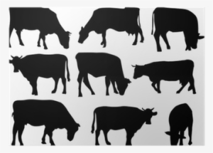 Nine Cows Silhouettes Isolated On White Poster • Pixers® - Cow Silhouette