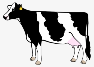 Free Dairy Cow Silhouette Png - Holstein Dairy Cow Clipart Black And White