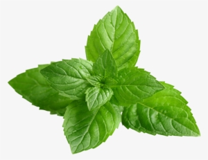 Clear Revive Peppermint Essential Oil