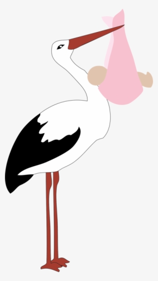 Stork Clipart Baby Png - Baby Girl Png Stork