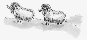 Picture - Sketch