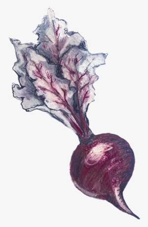 Solo Beet1920x716 - Natural Rate Of Interest