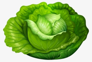 Lettuce Clipart Single Vegetable - Lettuce Clipart