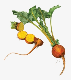 If You Want To Buy My Art - Turnip