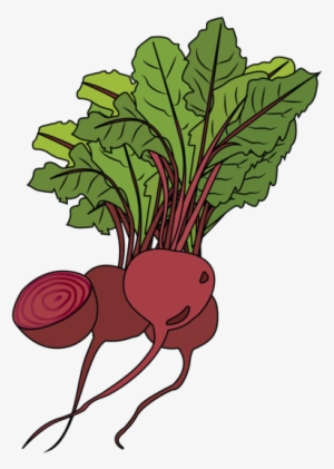 Beets - Beetroot