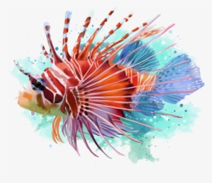 Clipart Library Watercolor Transprent Png Free - Lionfish Png