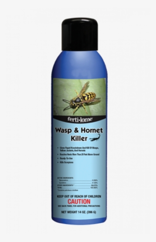 Wasps