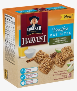 Quaker® Harvest Orchard Apple & Cinnamon Oat Bites - Quaker Harvest Breakfast Strawberry Fruit Filled Squares