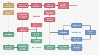 The Whole Program Moves Forward Through Collaborative - Electric Blue
