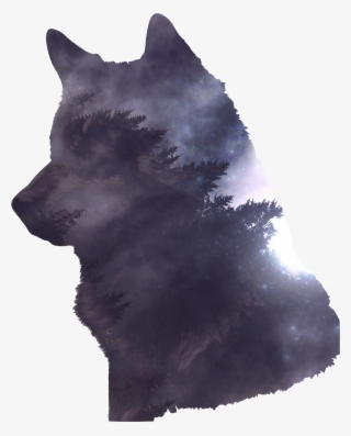 Wolf-2741085 1920 - Transparent Wolf Png