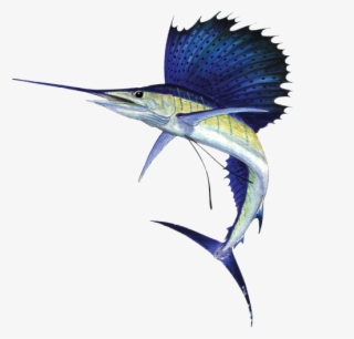 Sailfish 2 L - Sailfish Png