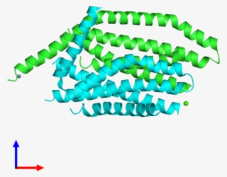 Pdb 4hks Coloured By Chain And Viewed From The Front - Graphic Design