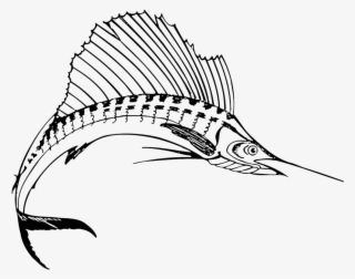 Sport Fishing Around Grenada - Sailfish Black And White