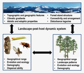Conceptual Diagram Of The Interactions Among Landscape - Science