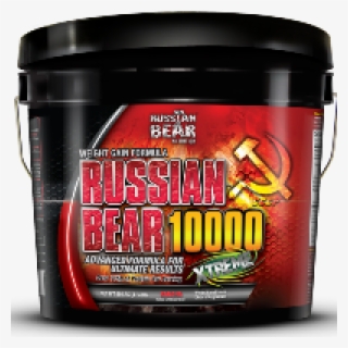 Russian Bear Protein Price
