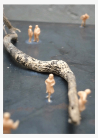 Maqueta De Playa - Driftwood