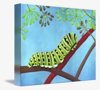 Swallowtail Caterpillar Png