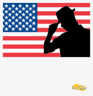 Anna › Respect Usa - Fort Sumter