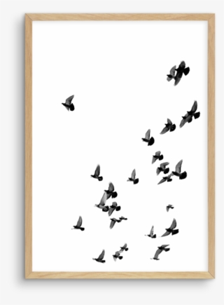 The Flight - White Phone Case Idea