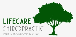 Lifecare Chiropractic - Tree