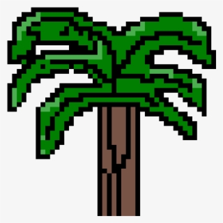 Palm Tree