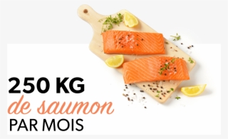 250 Kg De Saumon Par Mois - Ride More Tablet - Ipad Mini 1 And 2 (horizontal)