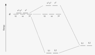 Now, Remember That Metals Usually Have D Electrons - Diagram