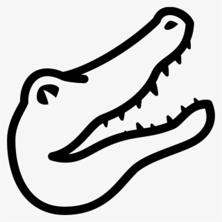 A Drawing Of A Alligator Head - Alligator Drawing - 1600x1600 PNG ...