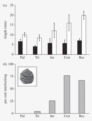 Mean Length Of The Seed (black Bars) And Its Subtending - Diagram