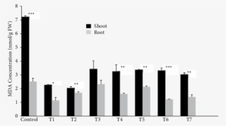 Mda Concentration In The Shoots And Roots (gray Bars) - Transgene