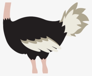 Ostrich Clipart Animated - Ostrich Bird Clipart