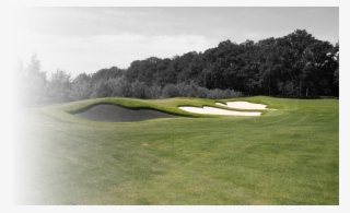 The Ultimate Solution For Your Problematic Bunkers - Lawn
