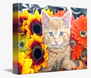 Sunflower Kitty Kitten Blue Portrait By Chantal