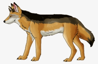Jackal, Coyote Png, Download Png Image With Transparent - Wolf